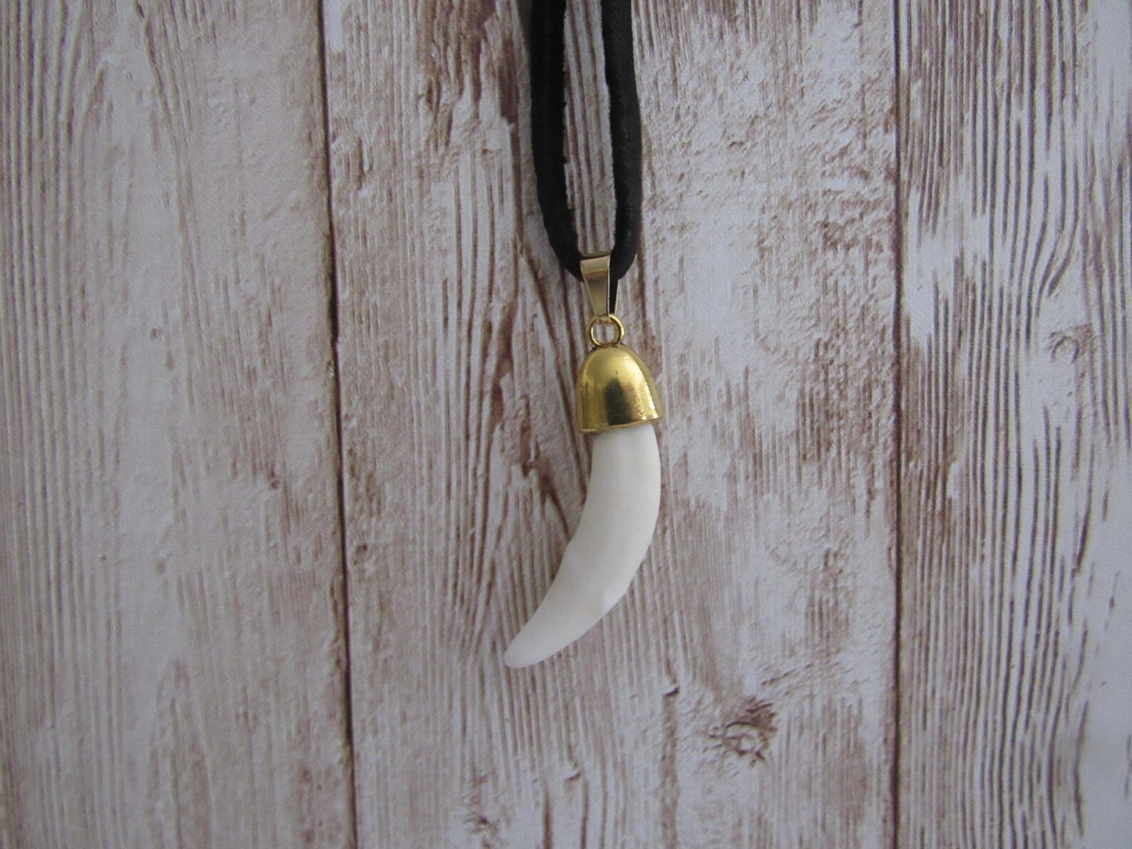 Coyote Tooth Gold Pendant Necklace Animal Bone Spirit Animal Jewelry