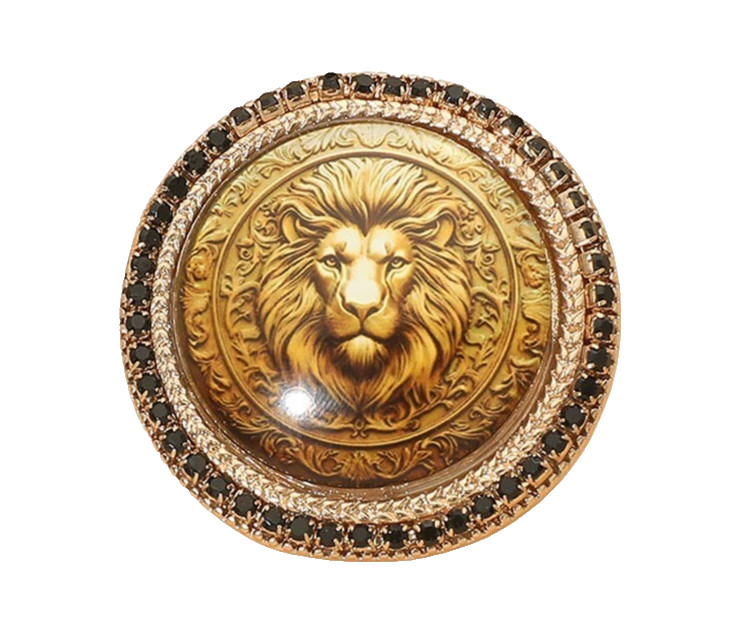 2PCS Lion Medallion Pin Brooch Gold Tone Black Rhinestone Lapel Jacket Scarf