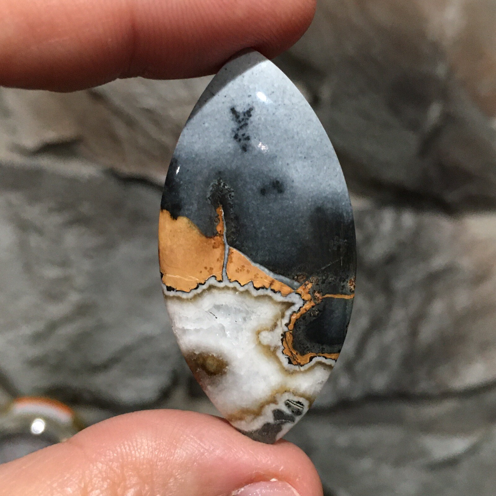 48×23.5×6.9mm Scenic Maligano Jasper Oval Cabochon Collectors Picture Stone