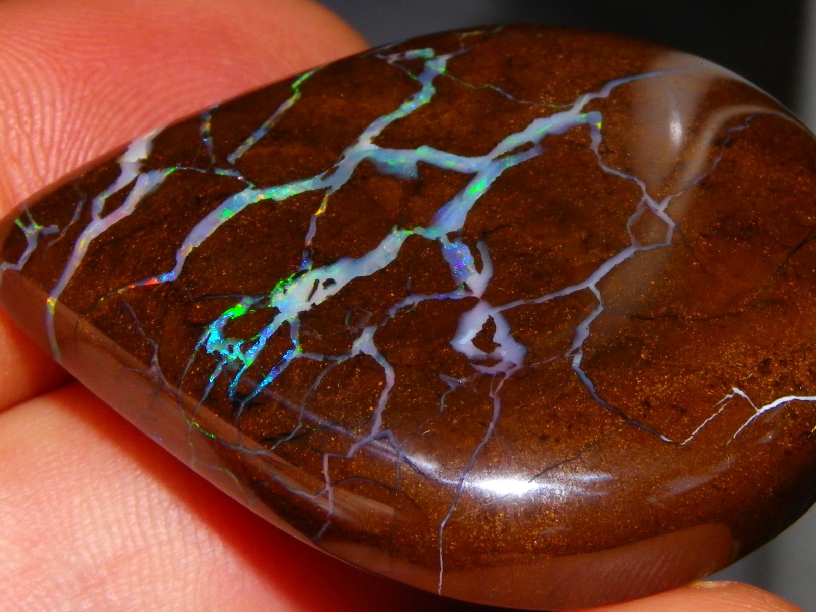 Quality Opalton Boulder Matrix Opal Freeform Cab 128.78cts Multicolour/Veins Qld
