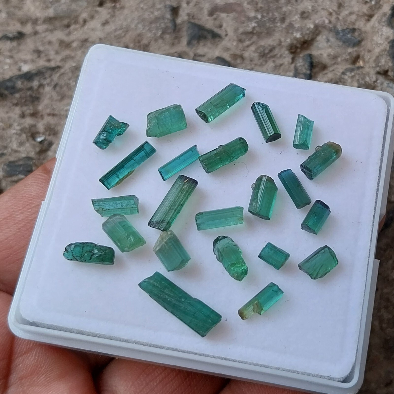 24 Carat Natural Greenish Blue Color Tourmaline Rough Pencil 23 PCS Lot