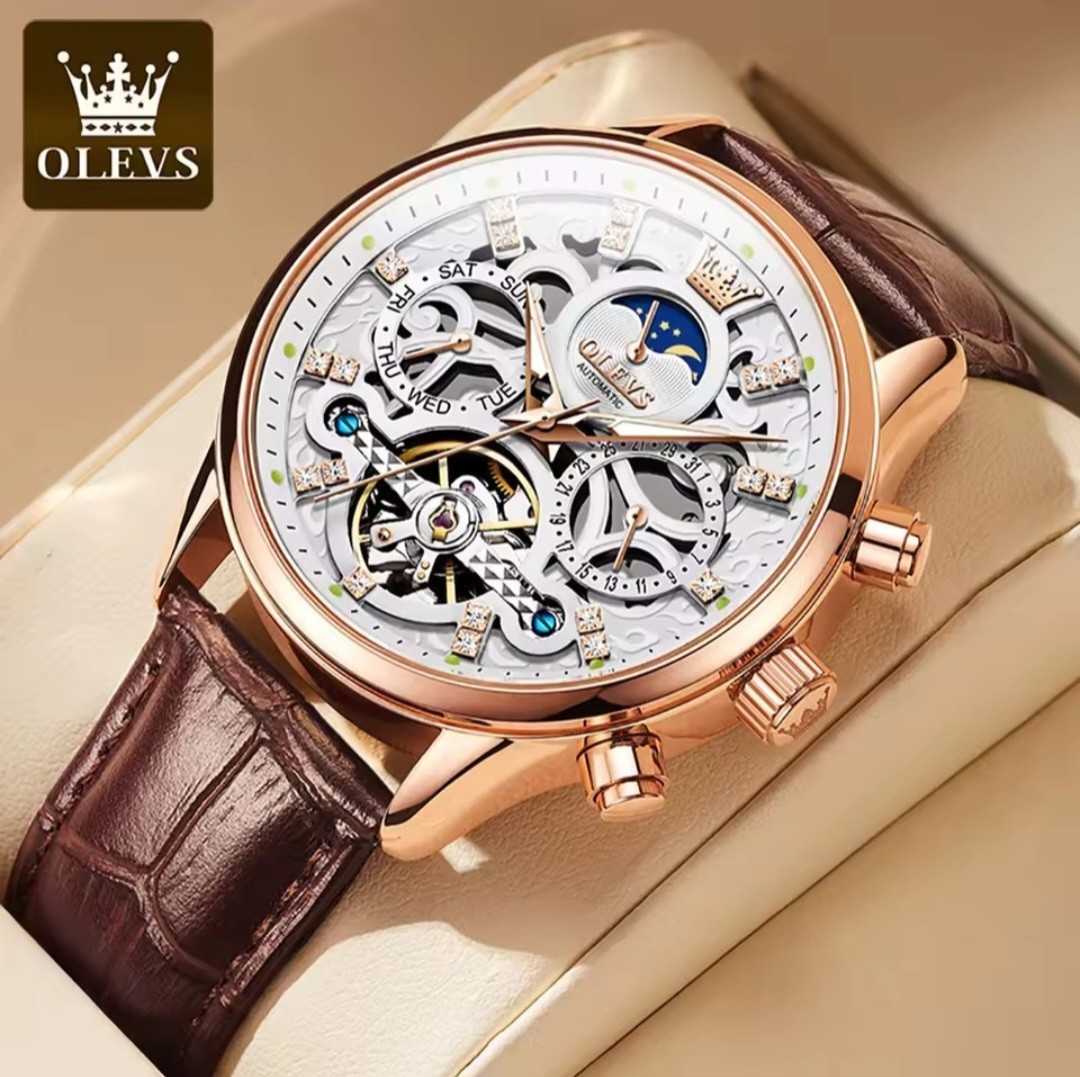 OLEVS Luxury Mechanical automatic Mens Watch With Leather Strap, Waterproof,