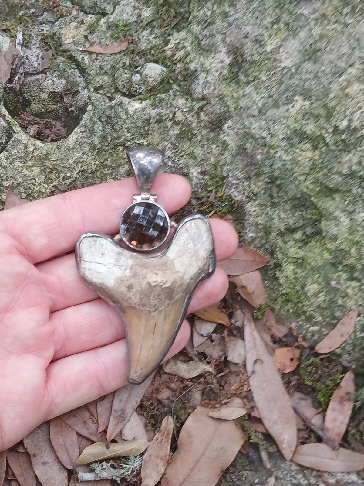 HUGE Fine Vtg 925 Sterling Silver Great White Shark Tooth Teeth Fossil Necklace