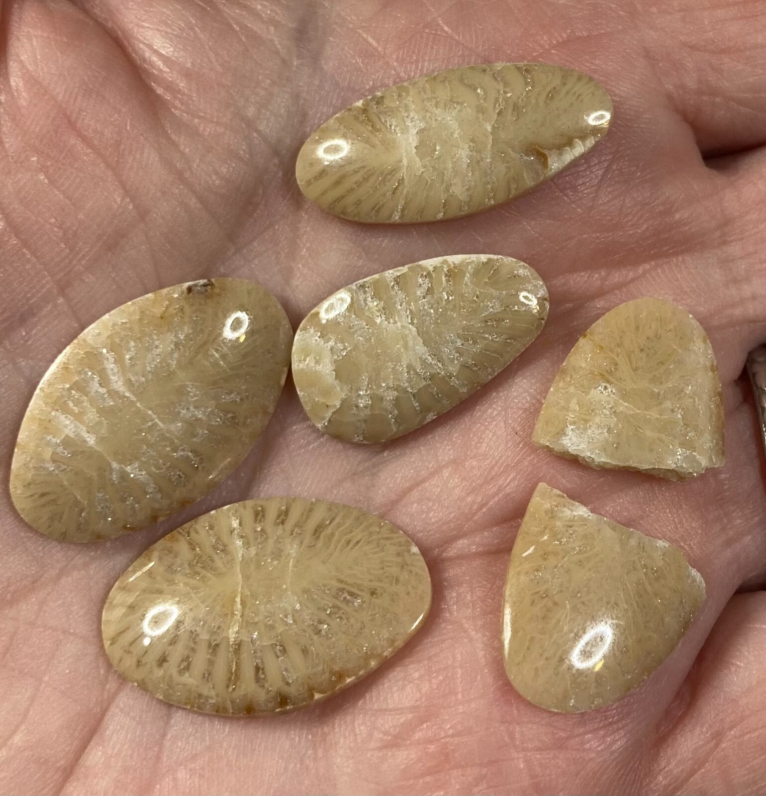 4+ Unlabeled Cabochons approx. 24 X 16 X 3 mm CC-87