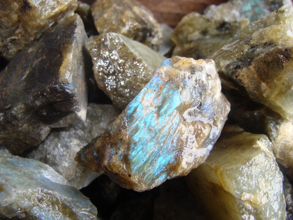 500 Carat Lots of Unsearched Natural Labradorite Rough + a FREE faceted Gemstone