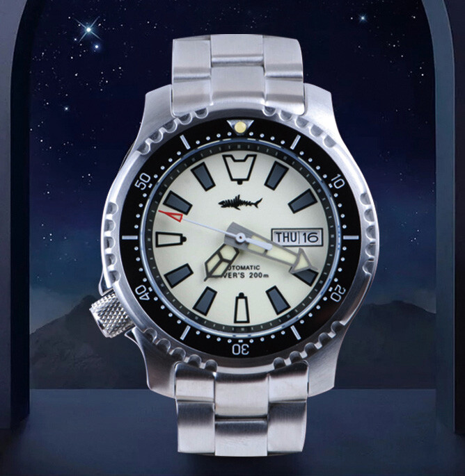 Heimdallr Pro Master FUGU Full Lume NH36A Day Date Dial Automatic Diver Watch C3