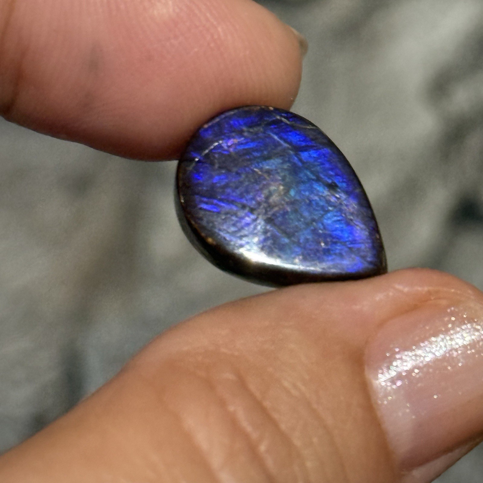 10.6ct 18x13x5mm Genuine Purple Ammolite Teardrop Cabochon Gem