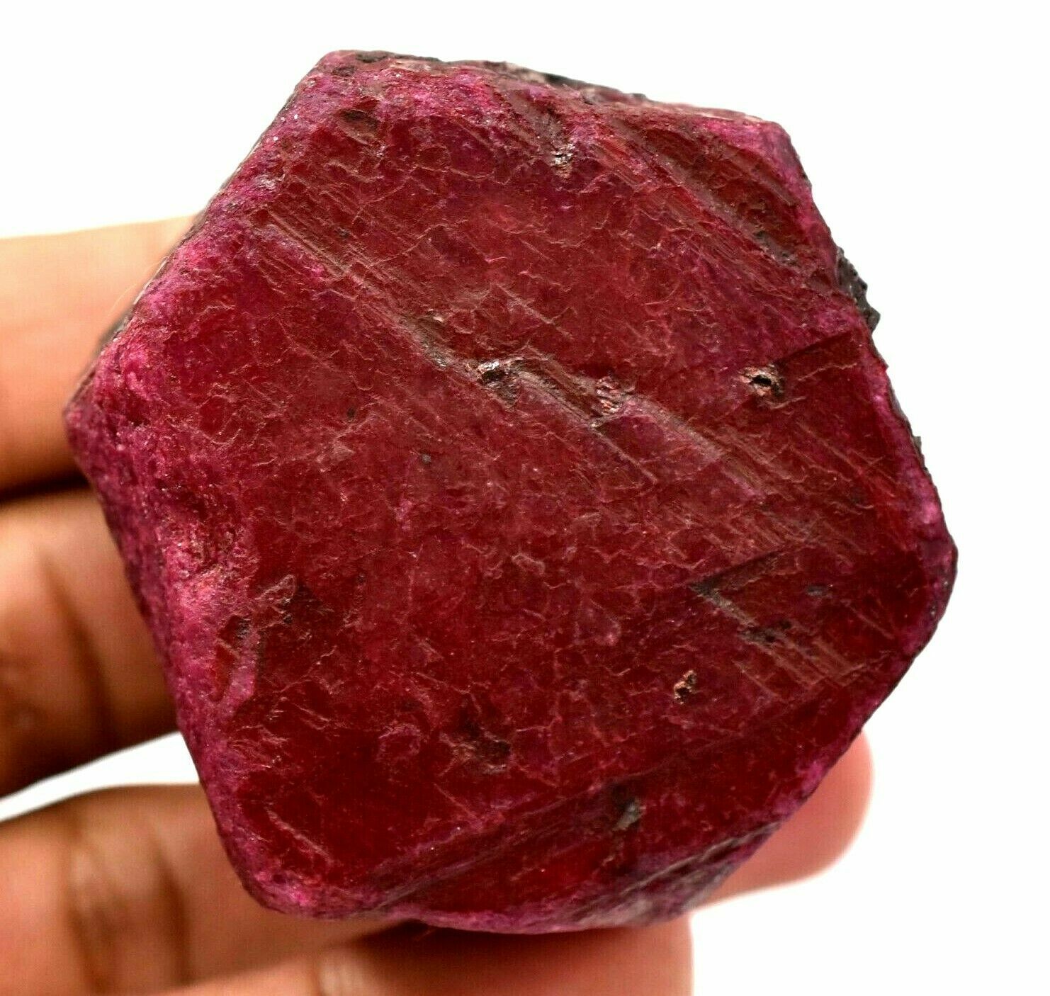 Natural Huge Red Mozambique Ruby Earth-Mined Color Enhanced Certified Rough !