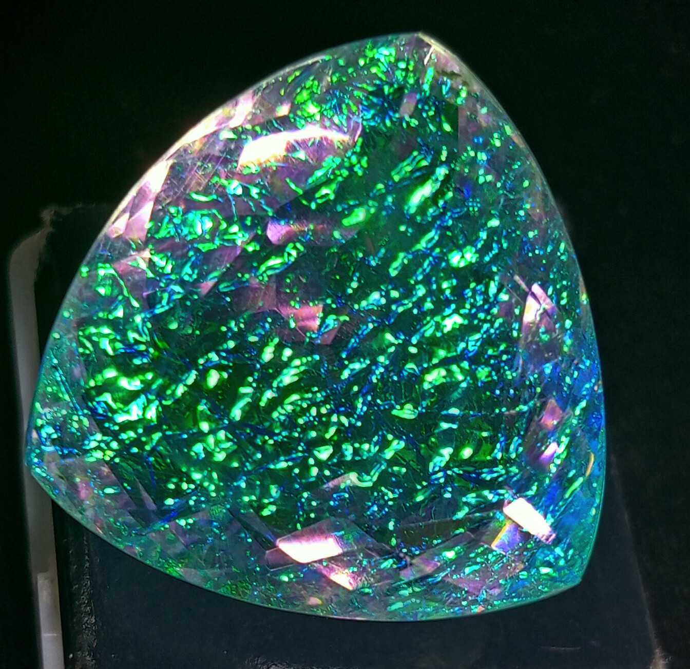 Natural Monarch Fire Opal Doublet Trillion Certified 58.55 Ct Loose Gemstone