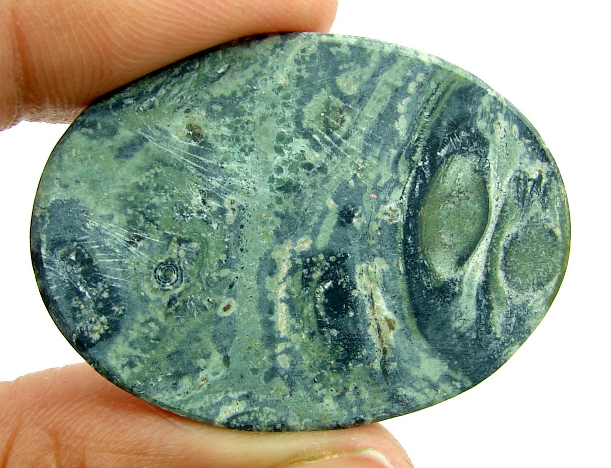 40.85 Ct Natural Kambaba Jasper Loose Gemstone Stone Cab Wire Wrap Stone – 2397