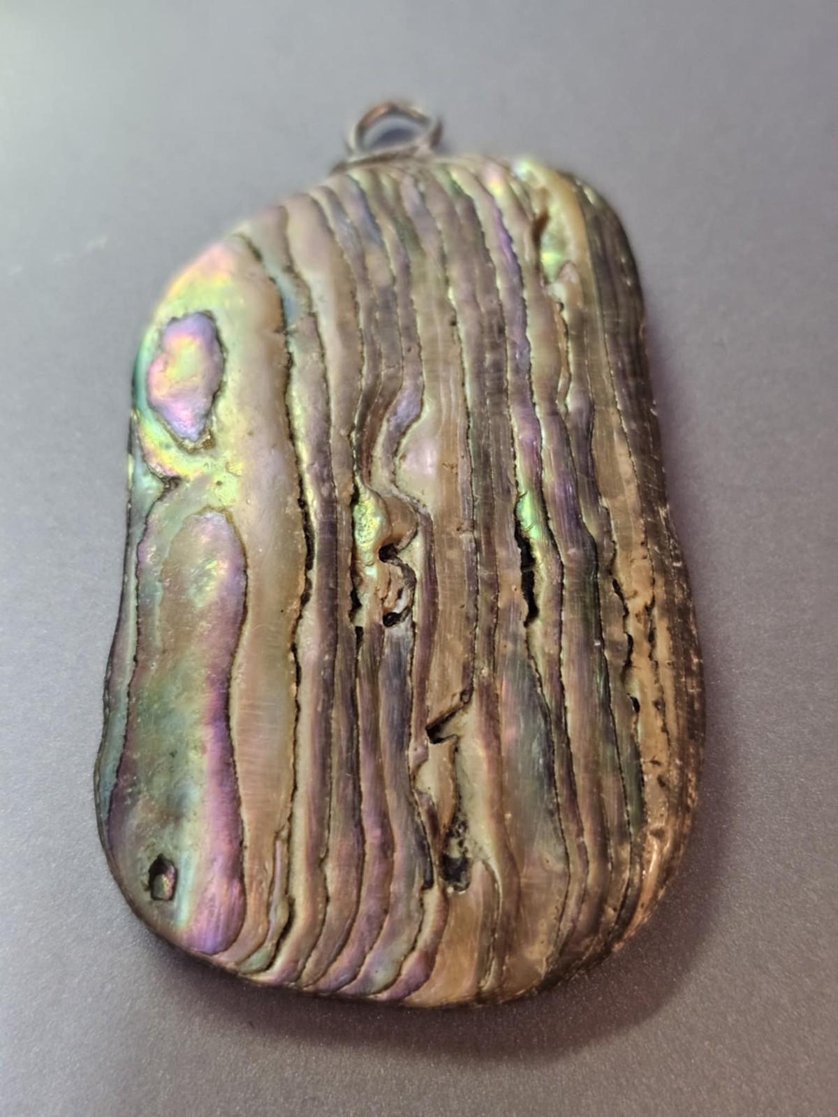 Vtg Large Abalone Shell Pendant Flat 2.25in- B23