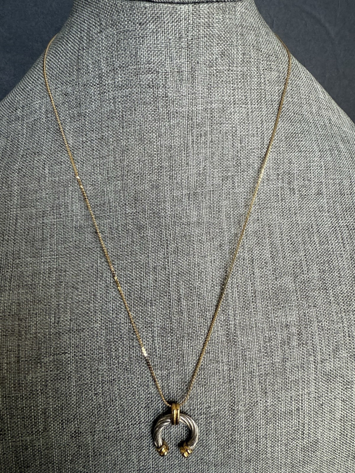Twisted Half Hoop Two Tone Pendant Gold Tone Chain Necklace 24” Capsule Career
