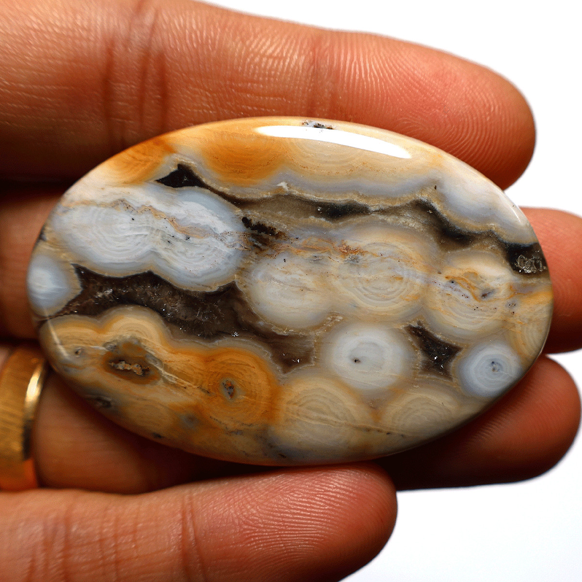 100 Cts Natural 8th Vein Ocean Jasper Hi-Grade 56mmx37mm Oval Cabochon Gemstone