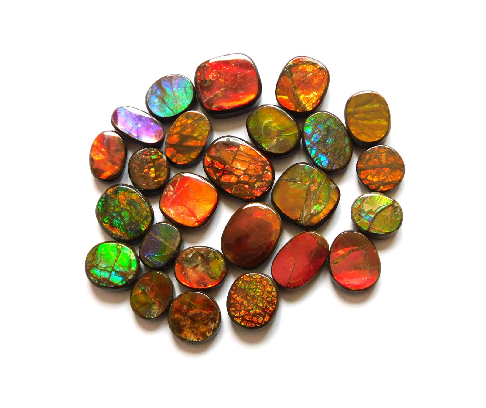110.40 Cts Natural Ammolite 25 Pcs Lot Loose Cabochon Gemstone CN06