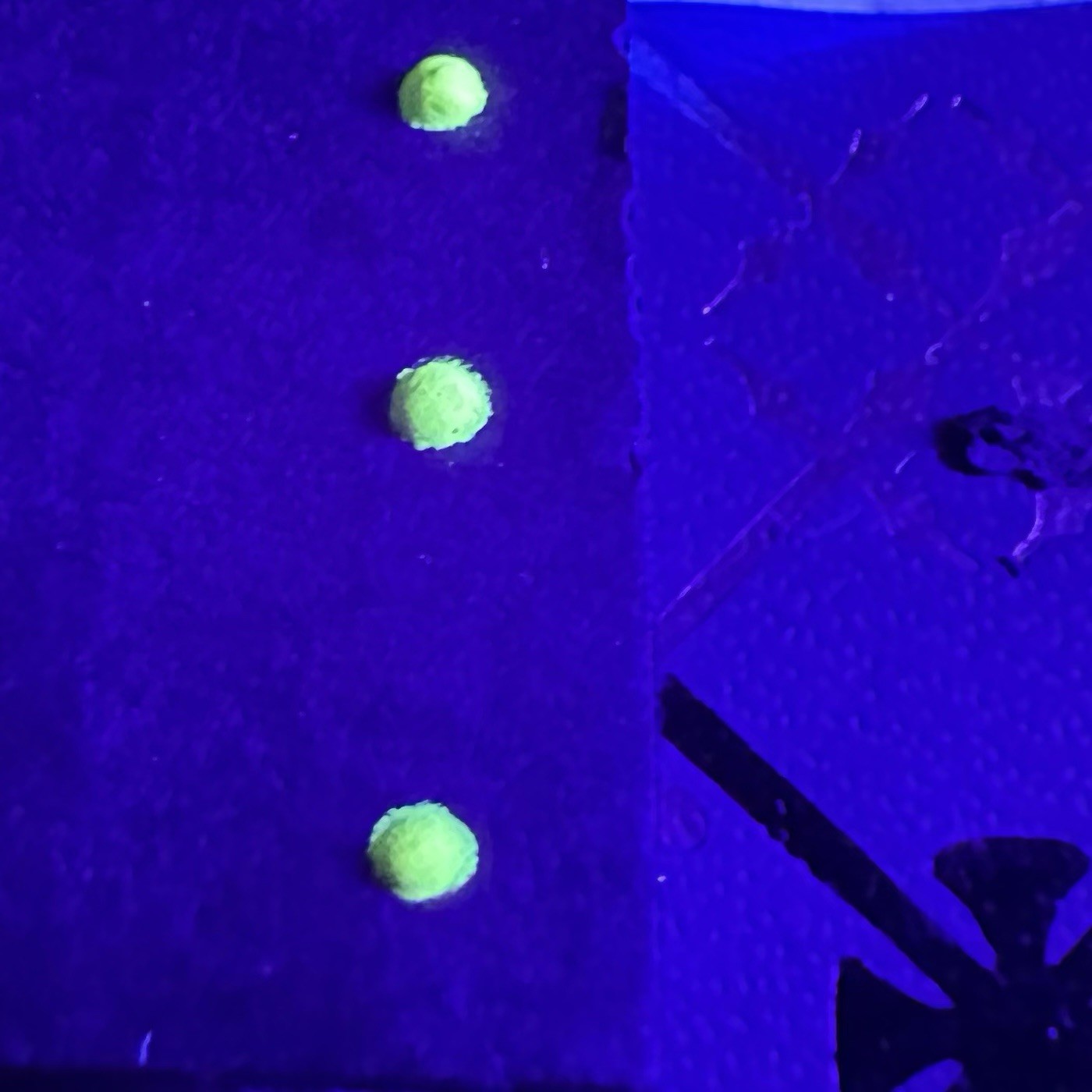 Vintage Watch Luminous Restoration Powder – 3 Grams – Green Tritium-like Glow