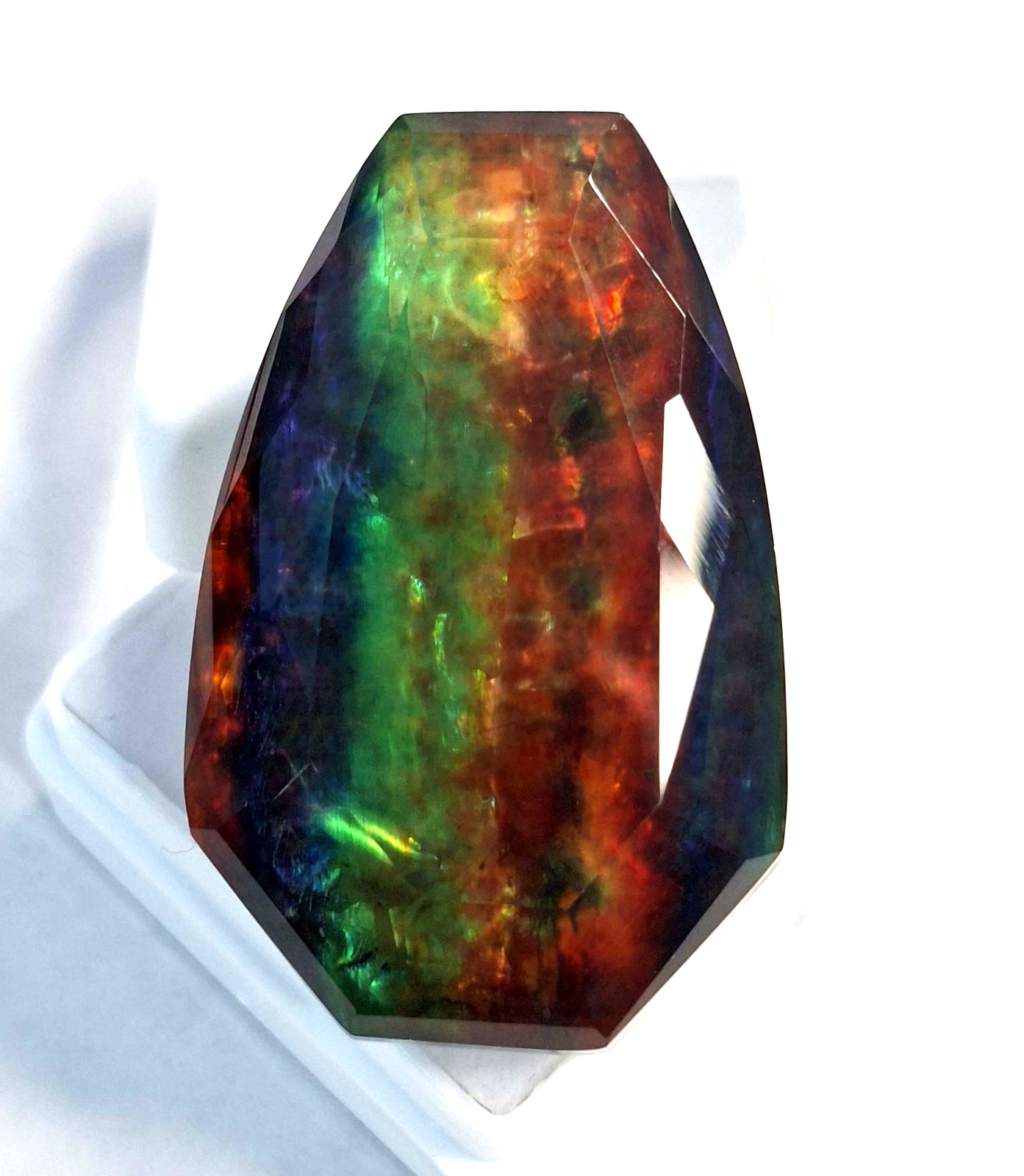 Opal Like Organic Ammolite Fancy Cut 62-64 Ct Natural Loose Gemstone RK914