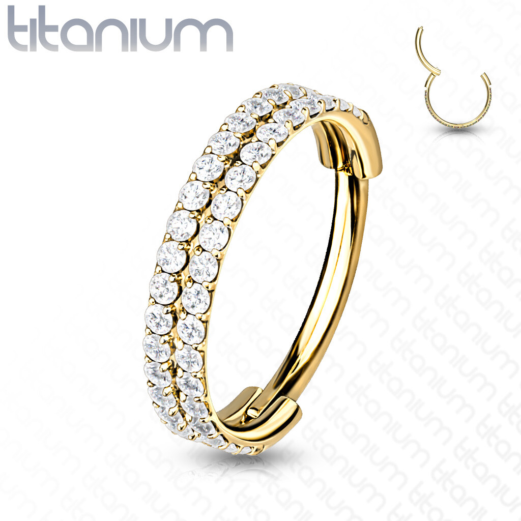 Implant Grade Titanium Double Lined CZ Hinged Segment Hoop Ring Ear Cartilage
