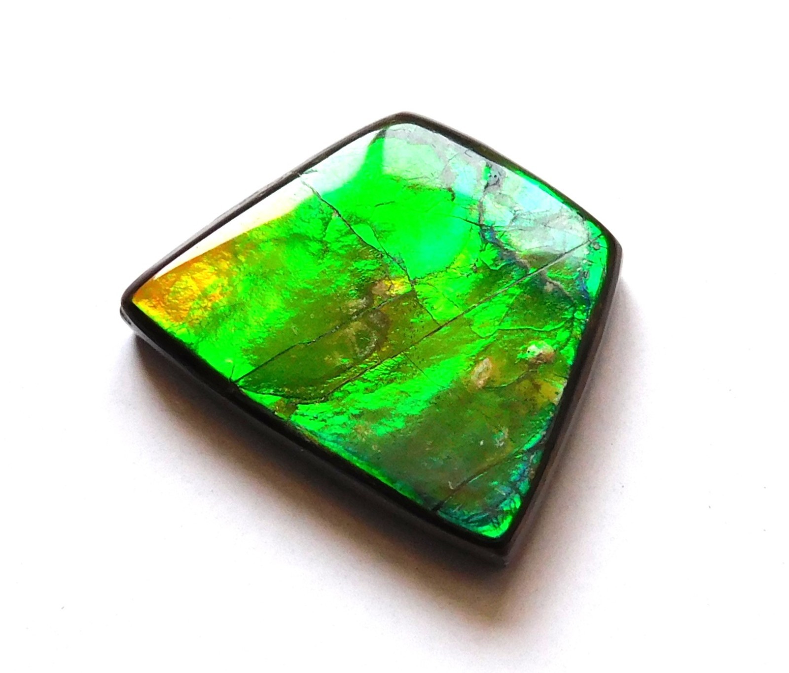 11.70 Ct Natural Canadian Ammolite Cabochon Loose Gemstone 18.8X14.9X4.3MM LF51