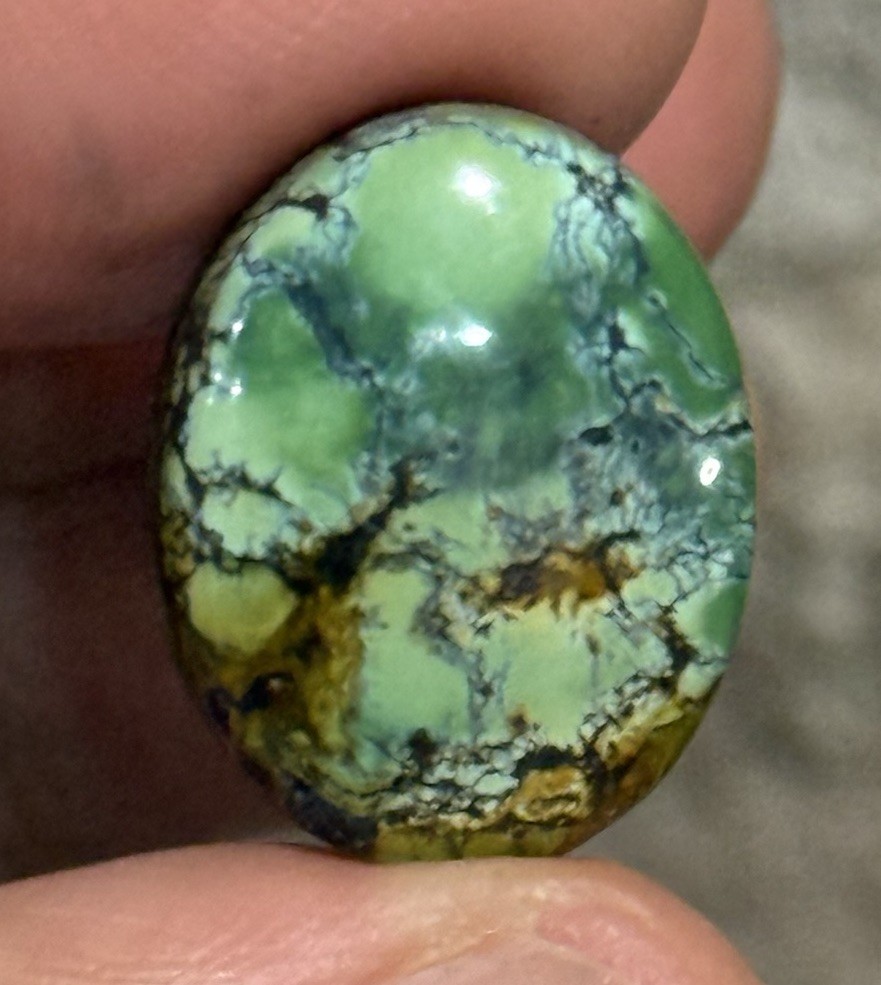 14.10ct 18.7c14.7×6.5mm Green Qingu Mine Turquoise Oval Cabochon Backed Stone
