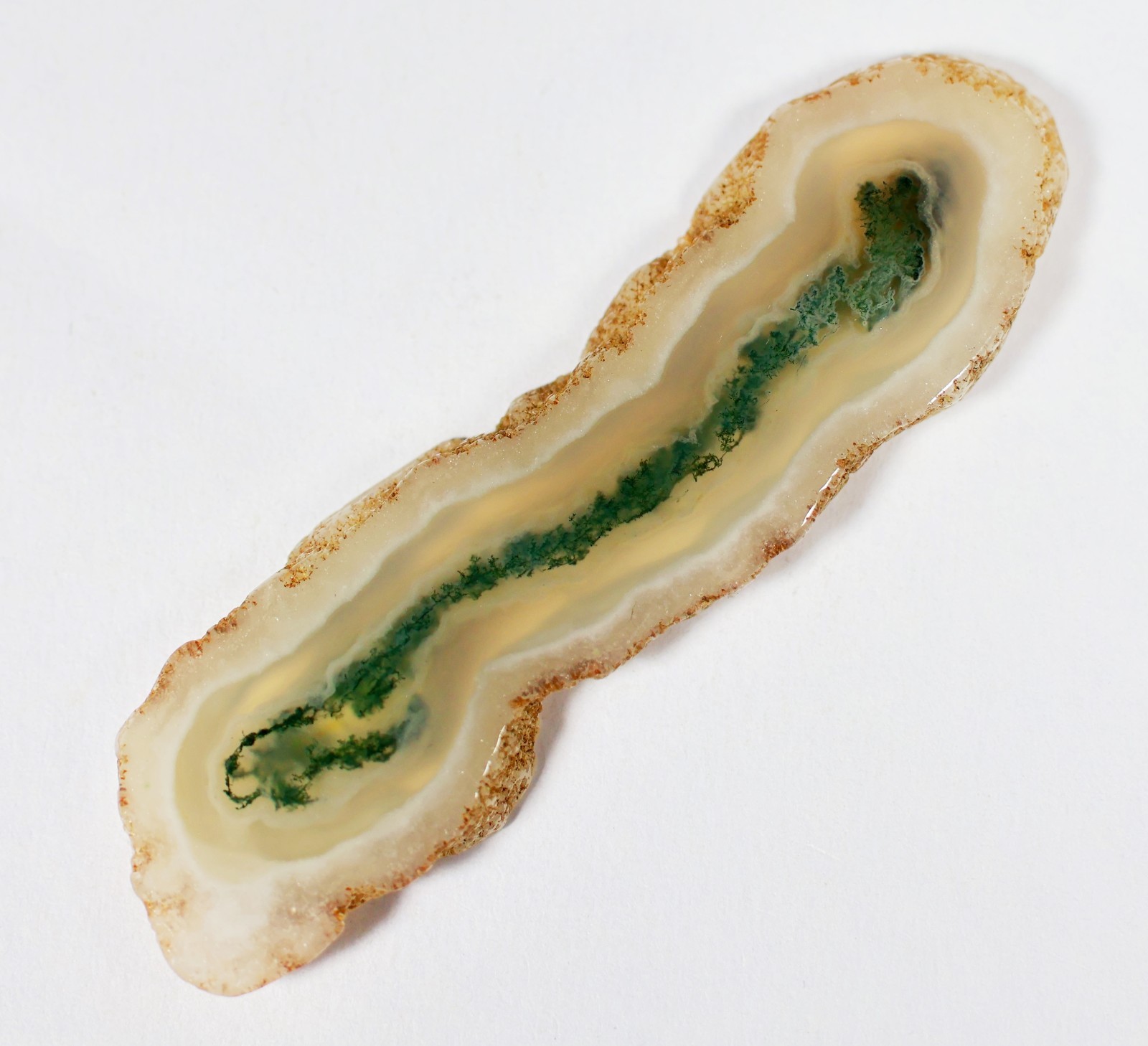 49 Ct 5X16X60 mm Top Natural Green Moss Agate Solar Polish Slice Gemstone KP-85