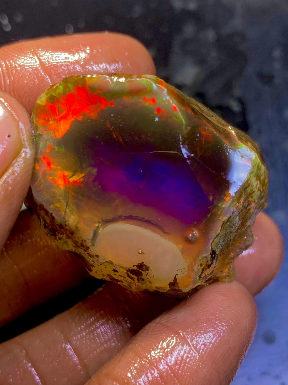 173 Ct Large Ethiopian Boulder Opal Rough Multi Fire natural Play Of Color Raw