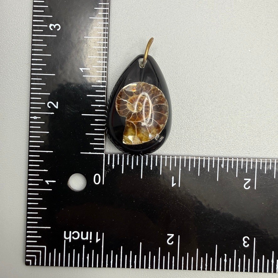 Ammonite Fossil in Clear Resin Teardrop Pendant Suspended