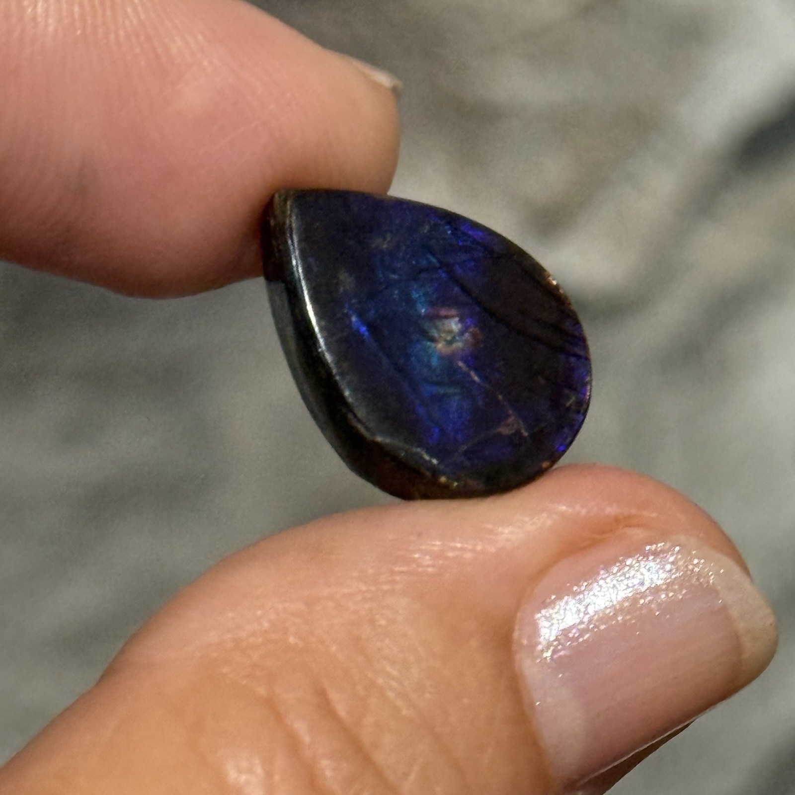 10.6ct 18x13x5mm Genuine Purple Ammolite Teardrop Cabochon Gem