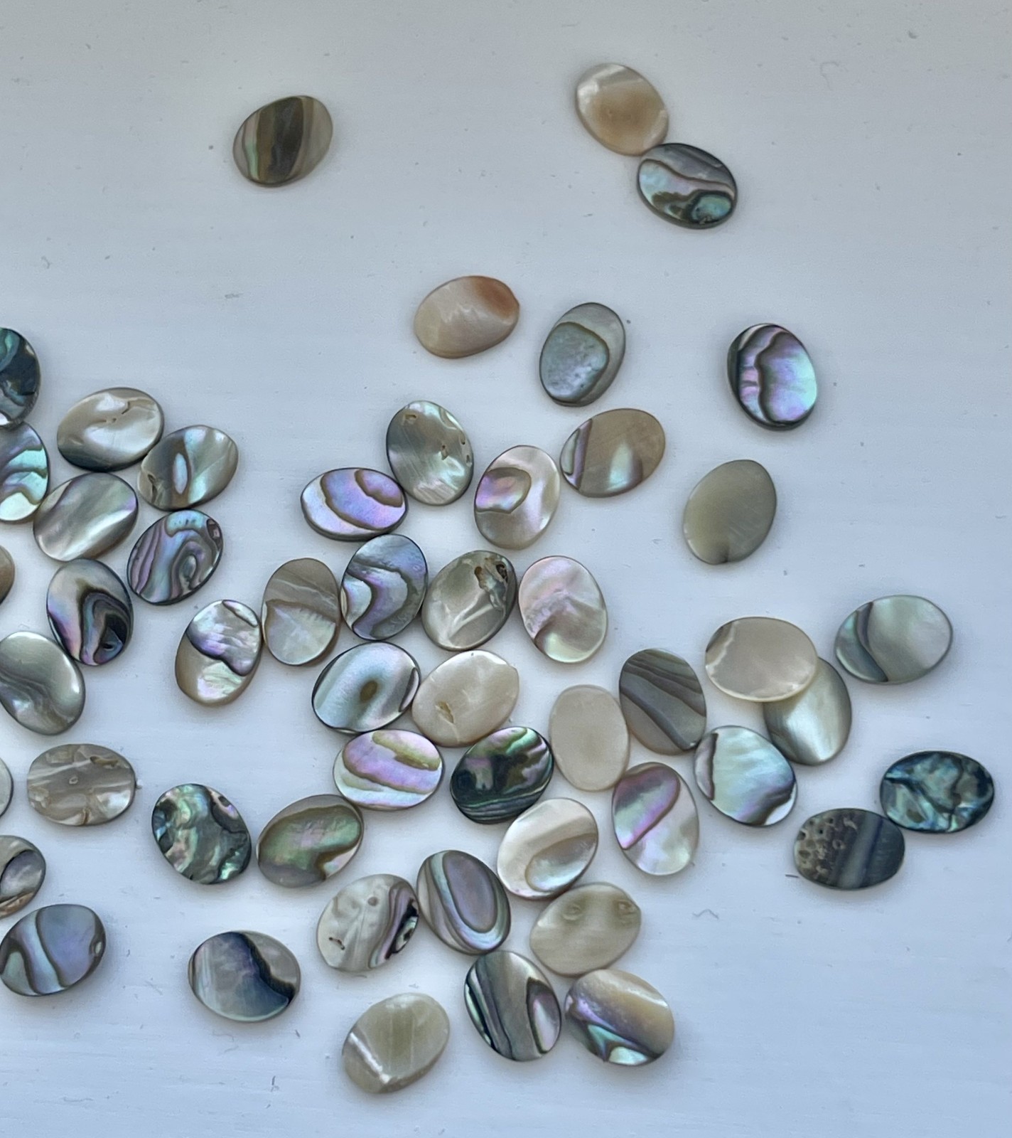 50 Abalone Cabochon Oval Shells (6×8 mm) Seashell Iridescent Paua Gemstone