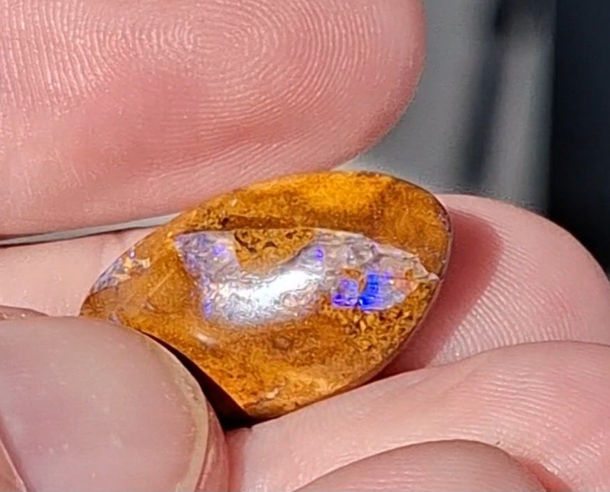 12.5ct Wood replacement Qld boulder opal. Vibrant iridescent blue & purple flash
