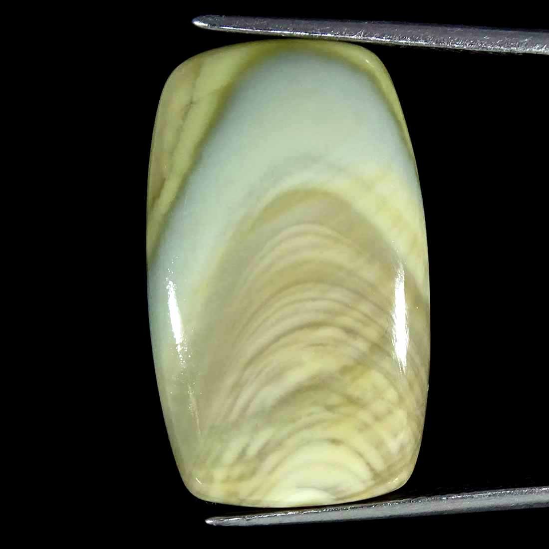 20.50Cts Natural Imperial Jasper Cushion Cabochon loose Gemstone