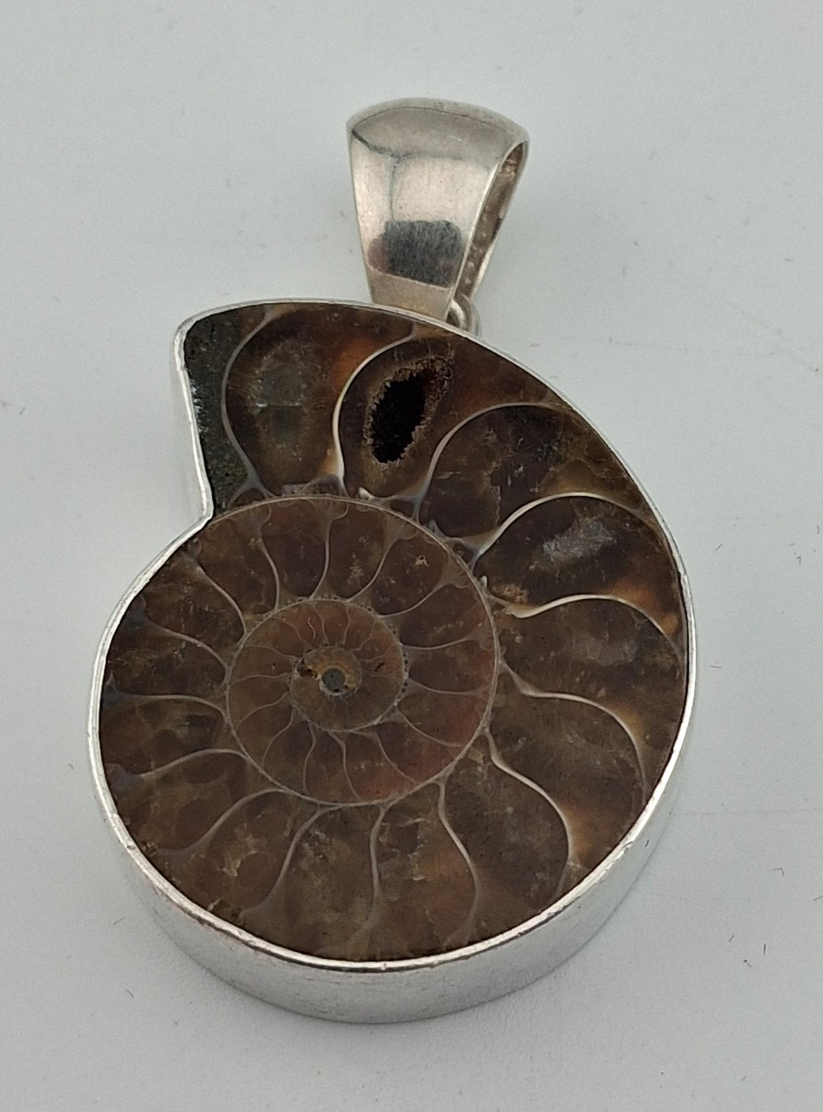 Charles Albert 950 Fine Sterling Silver Ammonite Fossil Pendant Nice Thick 14g
