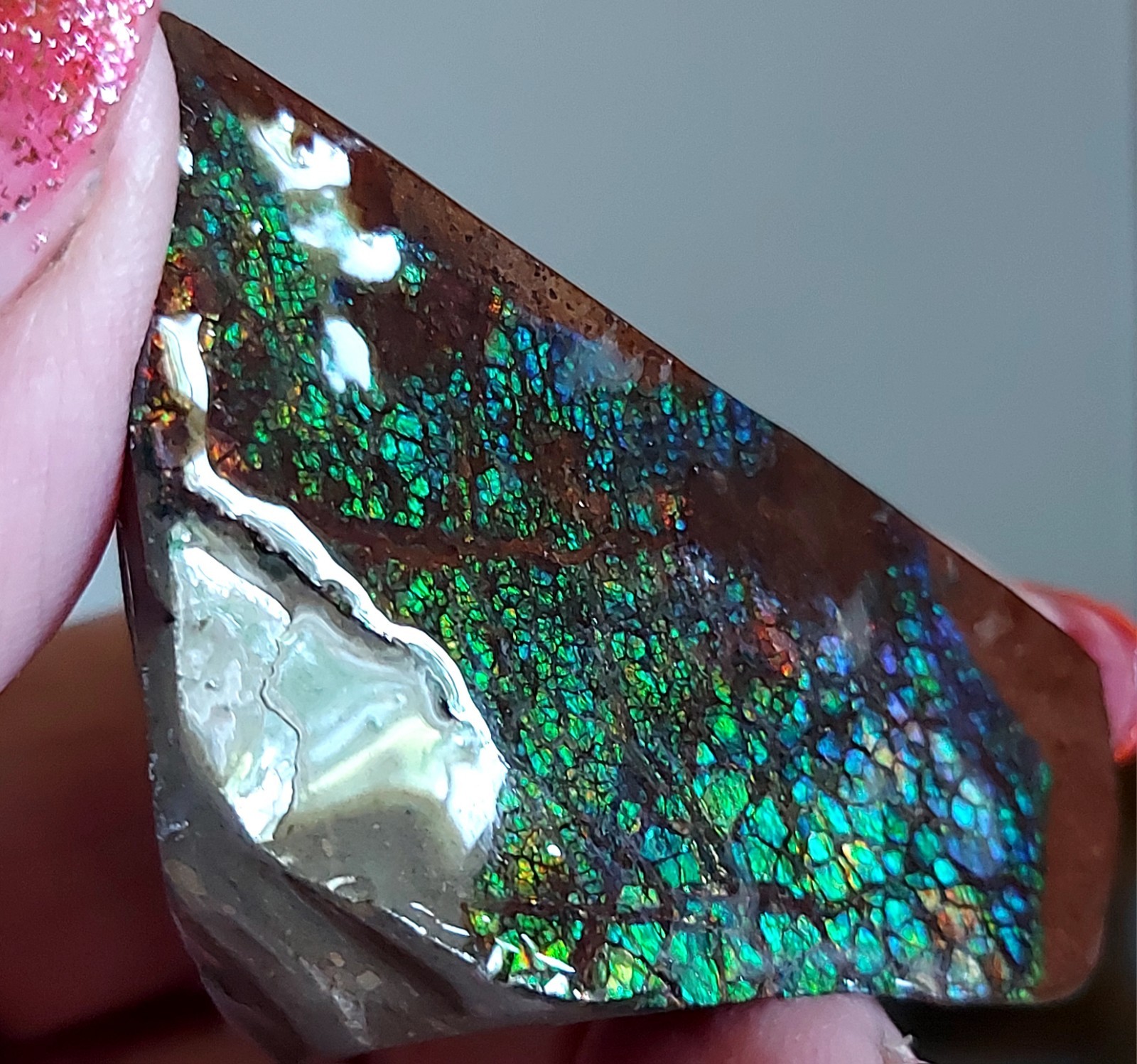 Ammolite Ammonite tabletop Display Piece 53.5x33x22.4mm 5237