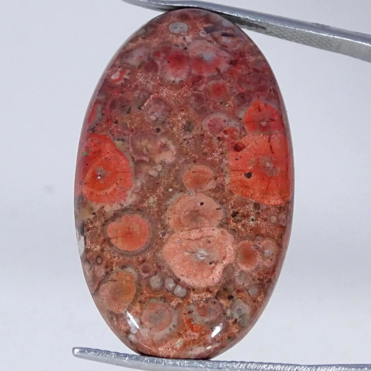 23.10Cts 100% Natural Orbicular Jasper Oval Cabochon Gemstone 19X32X4MM