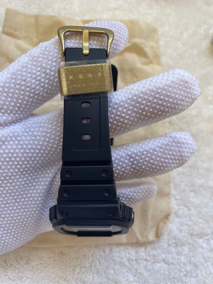 CASIO G-SHOCK DW-5040PG-1JR 40 models Safe packing!