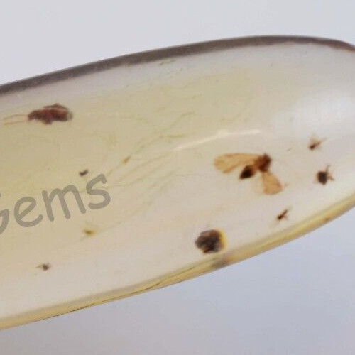 40.55 Ct 100% Natural Yellow Amber Insect Inclusion Certified Loose Gemstone