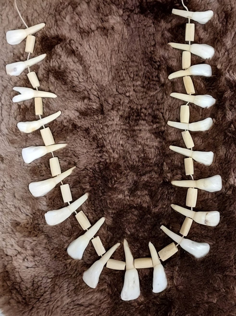 REAL Natural Vintage Tribal Ethnic Necklace Tooth / 20 TEETH + Animal BONES