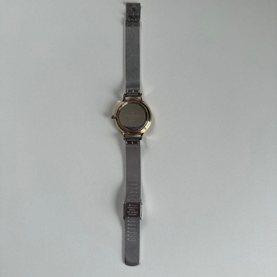 Skagen wristwatch silver gold