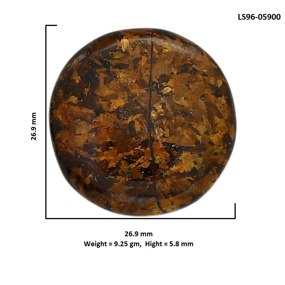 Natural Bronzite 26.9×26.9×5.8 mm Round Shape Polished Gemstone LS96-05900