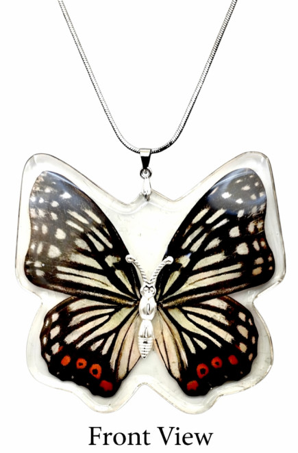 2 1/2″ NEW! Real INSECT White Black RED BUTTERFLY NECKLACE Jewelry PENDANT