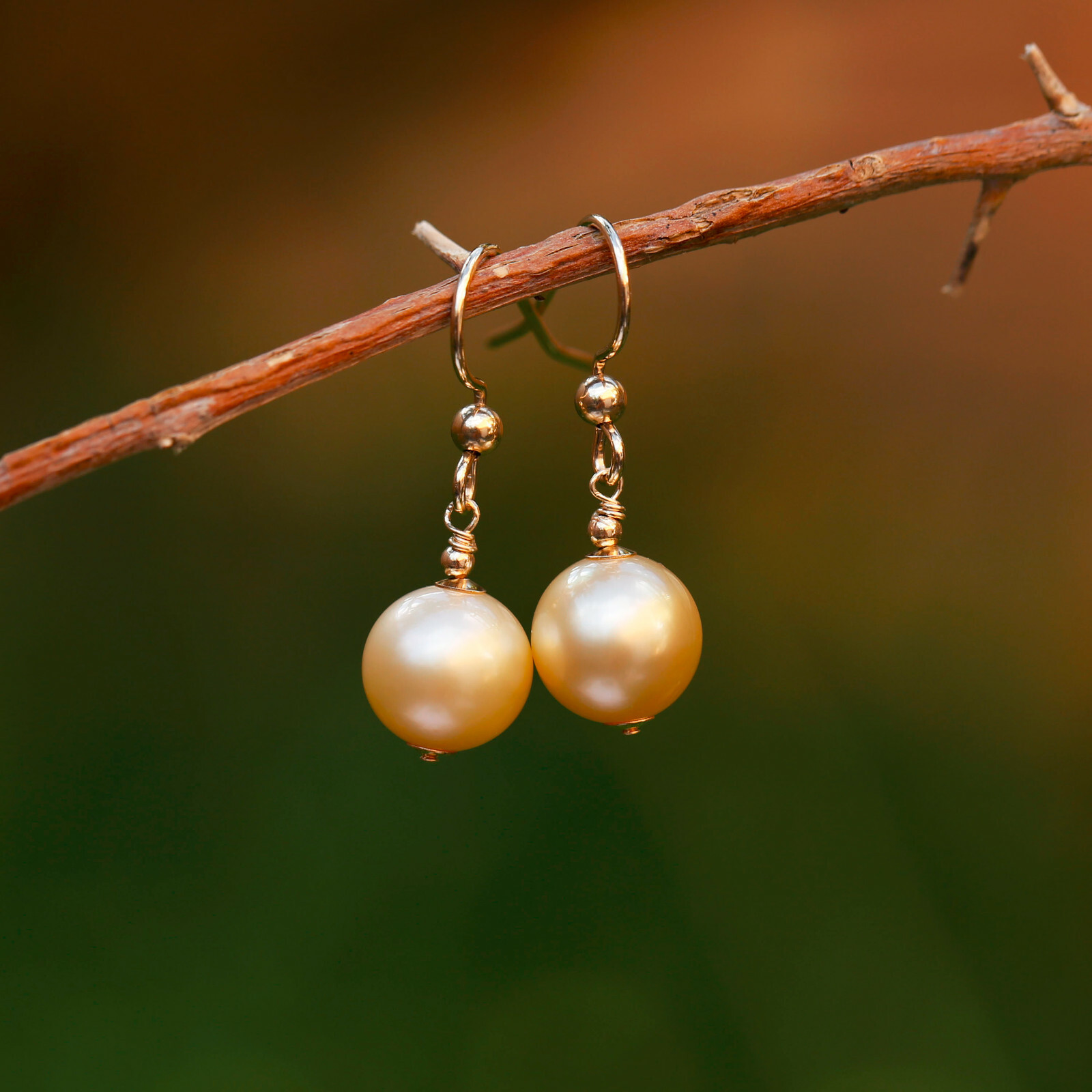 9.5-10mm natural high luster Australia gold seawater Pearl 14KGF Earring 29.5mm
