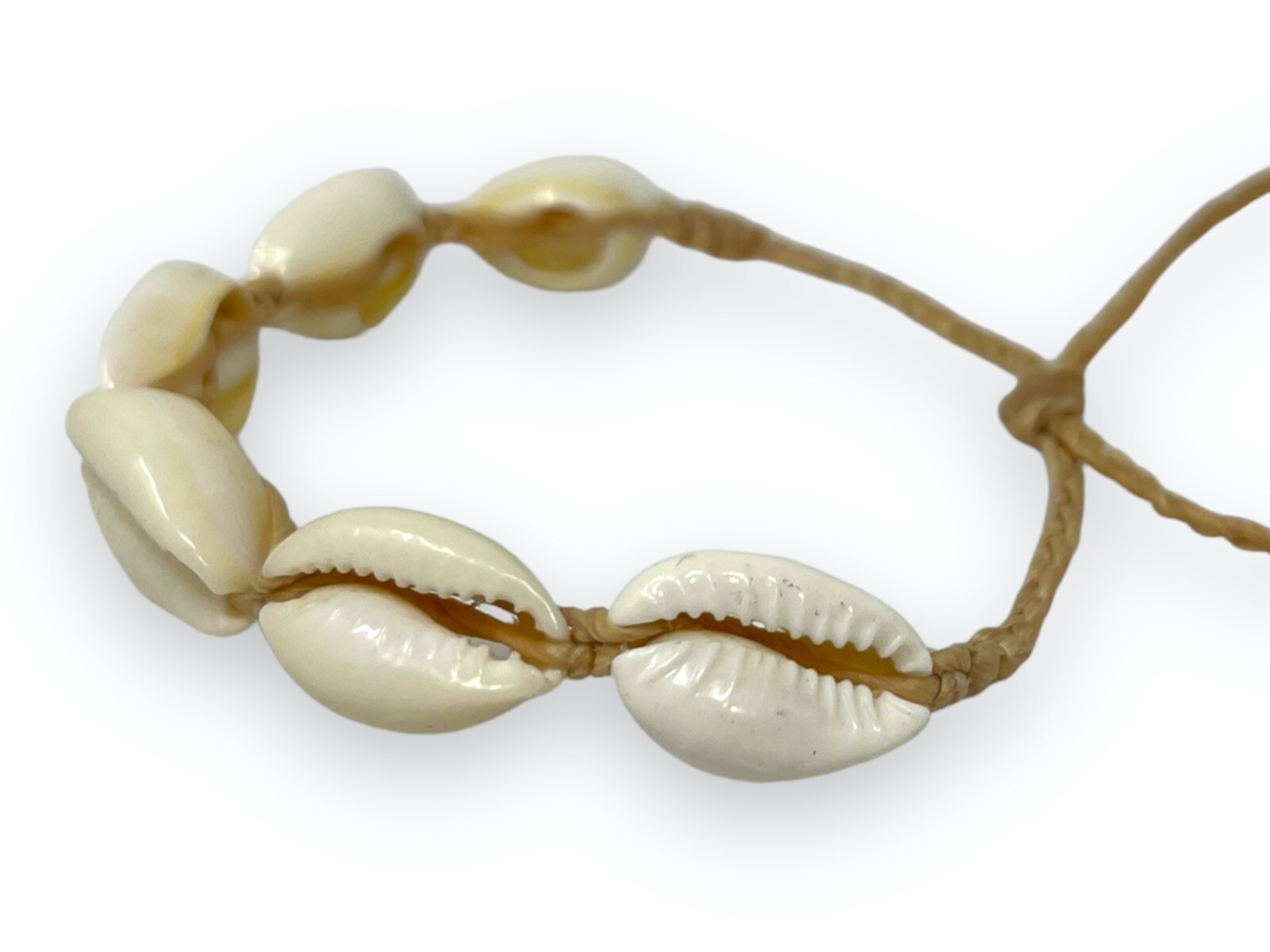 Adjustable Cowrie Shell Bracelet/Anklet – Versatile Handmade Seashell Jewelry