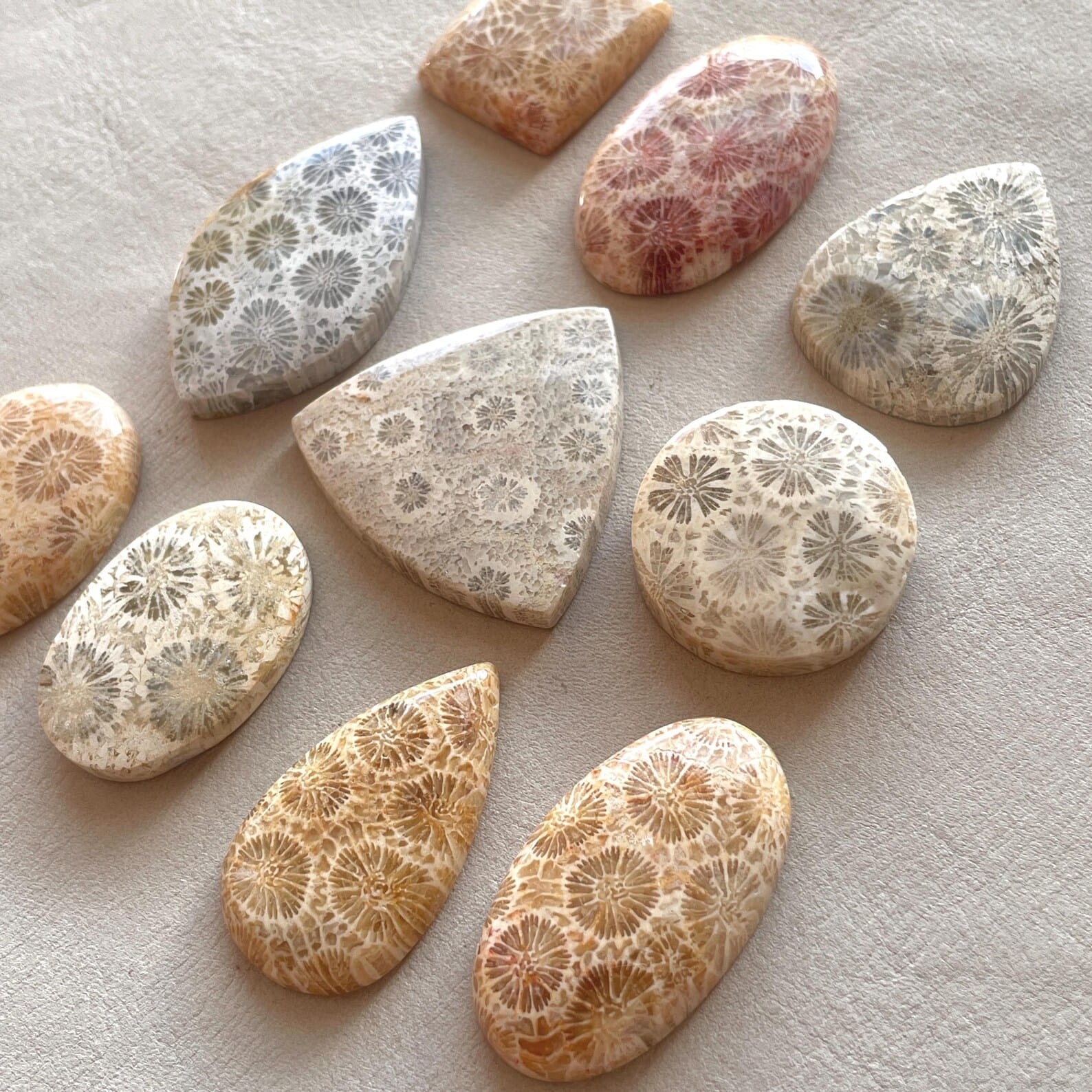 Natural Fossil Coral Cabochon Indonesian Fossilized flat back flower Gemstone