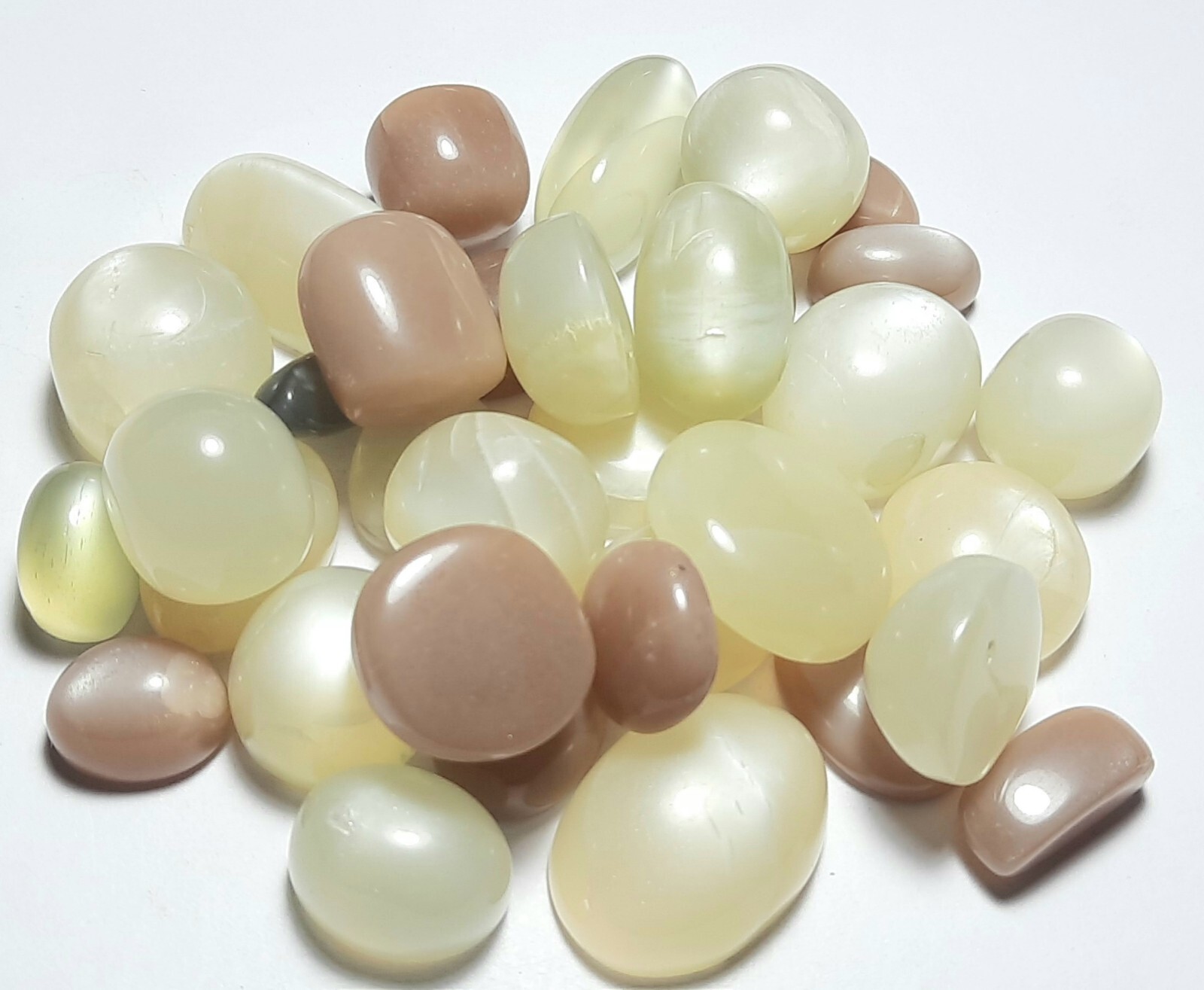 White Grey Peach Chocolate Moonstone Mix 500 Carat Lot Cabochon Free Shipping