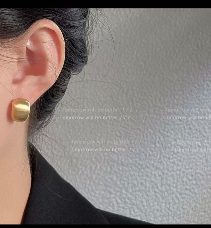 NEW Elegant Modern Brushed Matte Geometric Studs 925 Silver Needle *Gold/Silver