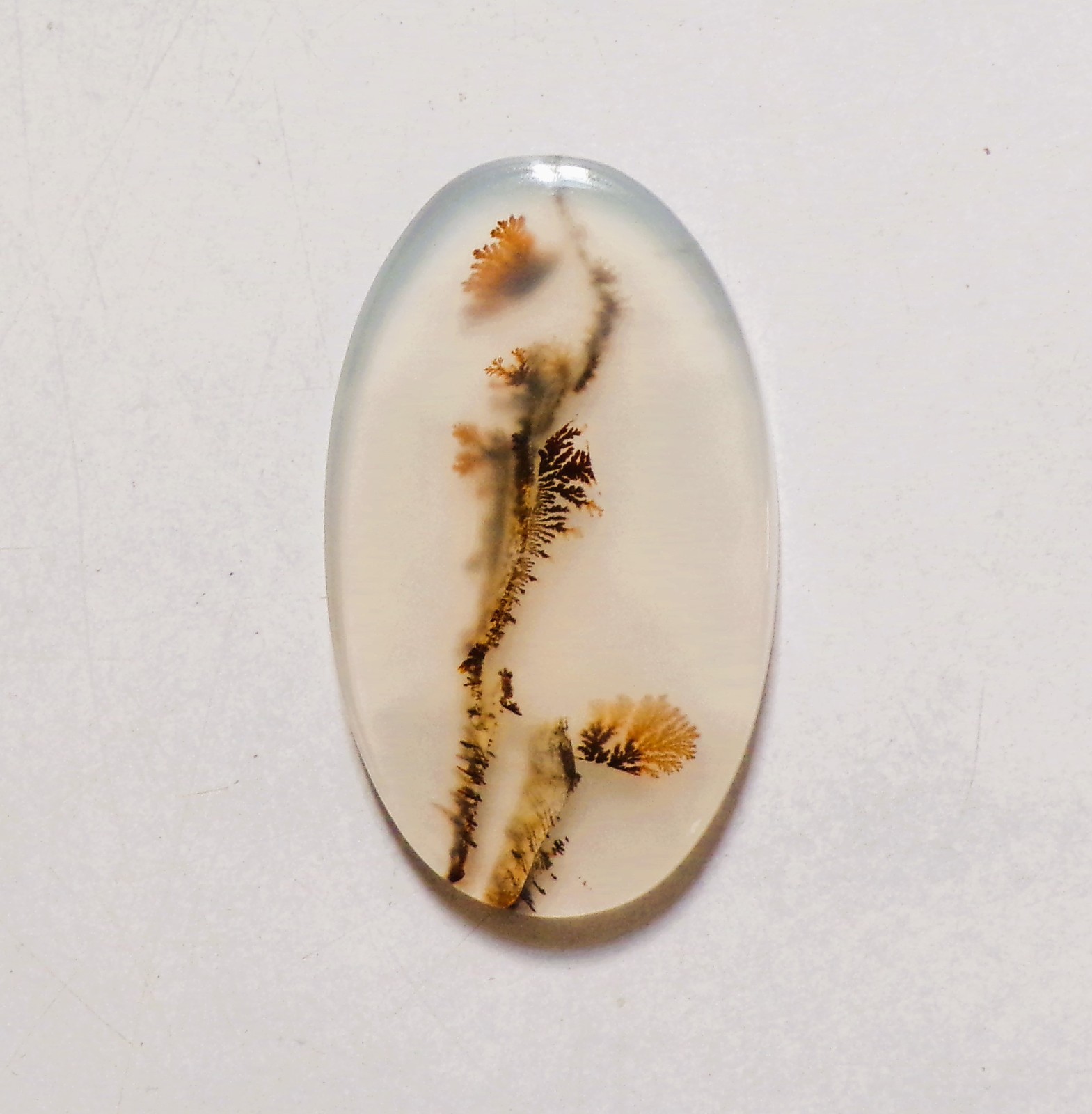 20.50 Cts Natural Shazar Dendritic Agate Cabochon Loose Gemstone 35X21X3.1MM 124