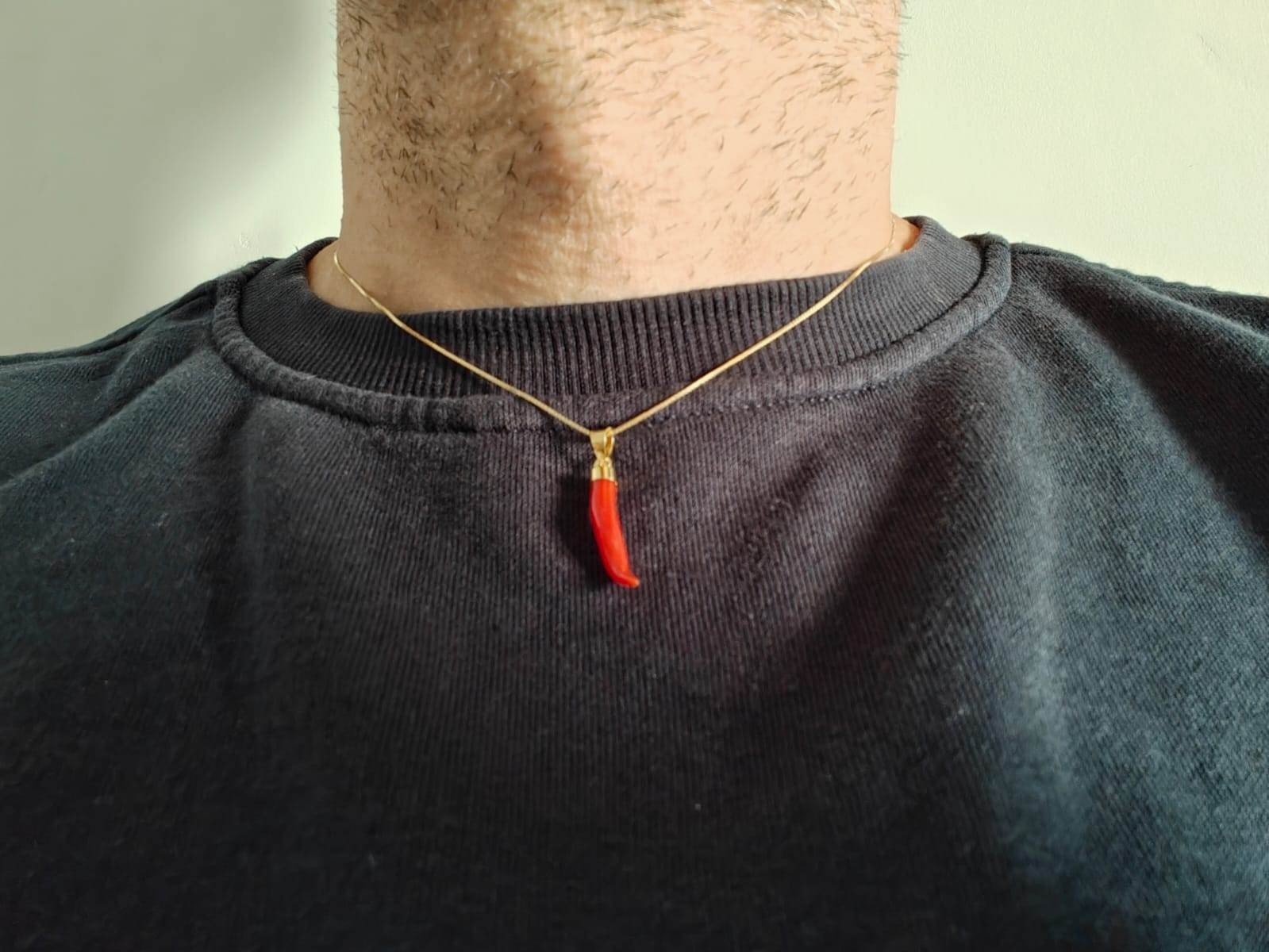 Lucky Horn Horn Cornet Silver Coral Pendant with Chain Men for
