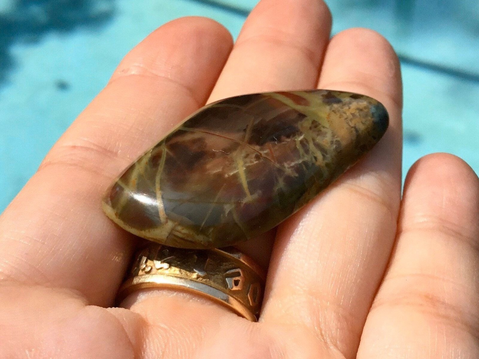 Oregon Morrisonite Jasper Freeform 45x26x5 mm Cabochon Gemstone