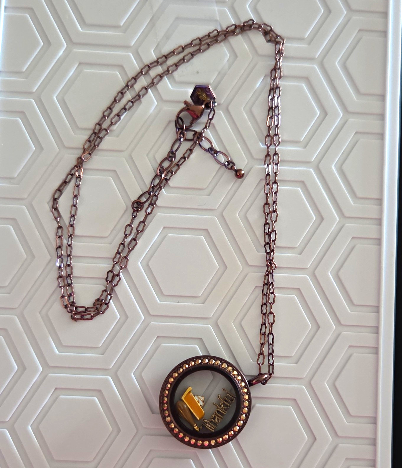 Origami Owl Chocolate Med Locket W/ Chain And Thanksgiving Charms