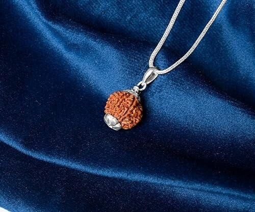 7 Mukhi Nepali Rudraksha 925 Silver Pendant, 7 Face Rudraksha Jewelry Certified