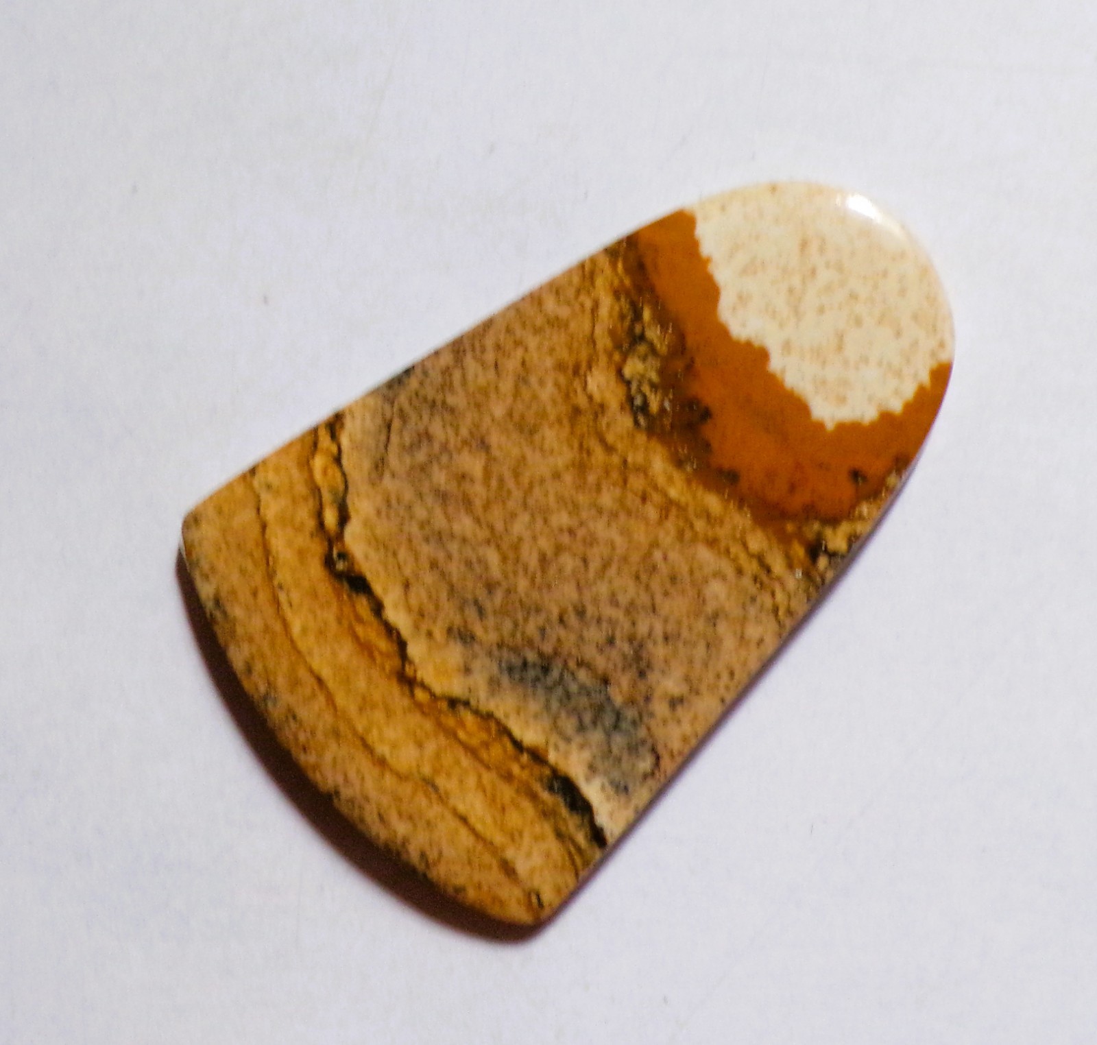 47.15 Cts Natural Picture Jasper Cabochon Loose Gemstone 45X30X5MM